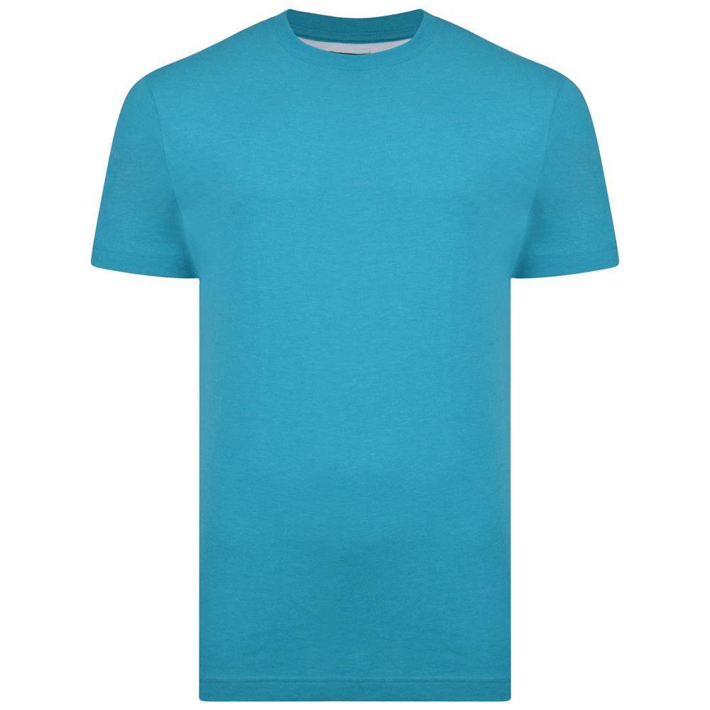 MENS KAM PLAIN T SHIRT KBS 500 SIZE 2XL TO 8XL